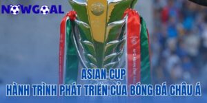 Asian Cup: Hành Trình Phát Triển Của Bóng Đá Châu Á
