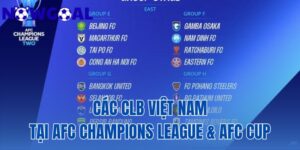 Các CLB Việt Nam Tại AFC Champions League Và AFC Cup