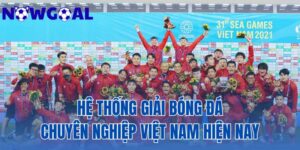 Hệ Thống Giải Bóng Đá Chuyên Nghiệp Việt Nam Hiện Nay