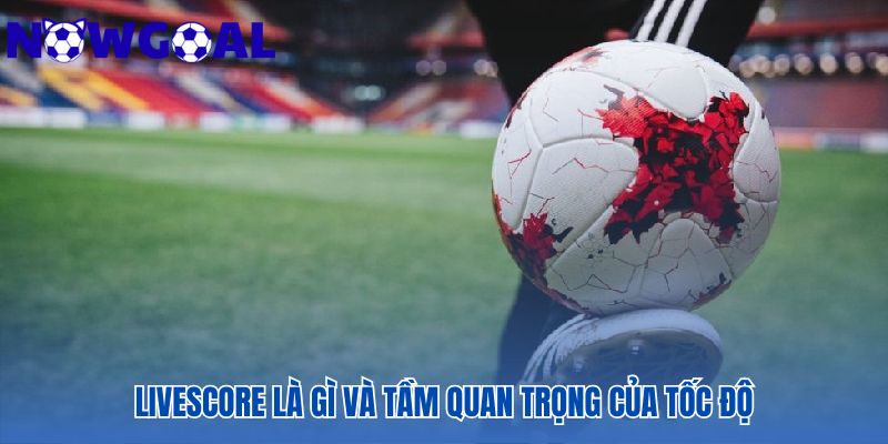Tốc độ livescore là vũ khí chiến lược cho người chơi kèo rung