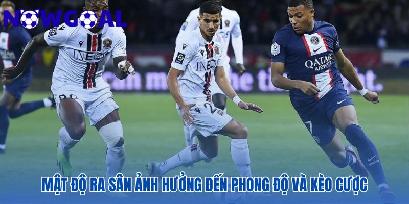 Mật độ ra sân là dữ liệu quan trọng để soi kèo chuyên sâu