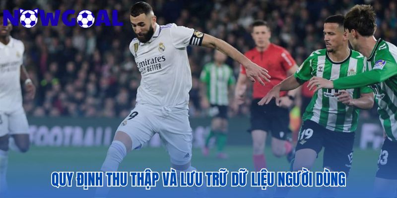 Quy định thu thập dữ liệu phi cá nhân như Cookies và địa chỉ IP